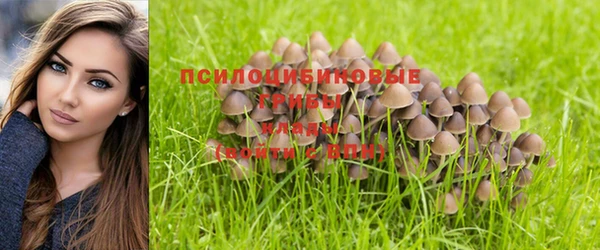 не бодяженный Абдулино