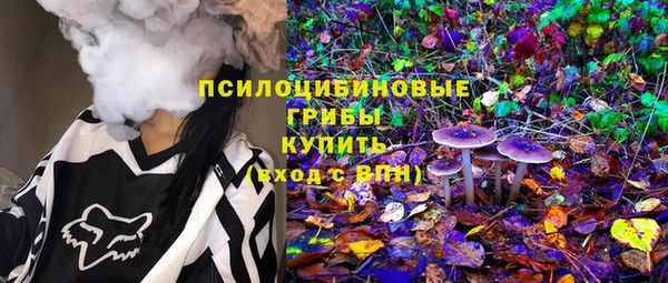 бошки Абинск
